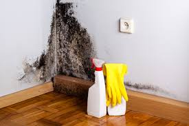 Best Dehumidification Services  in Norwood, NJ